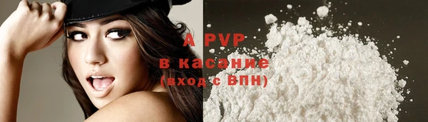 тгк Володарск