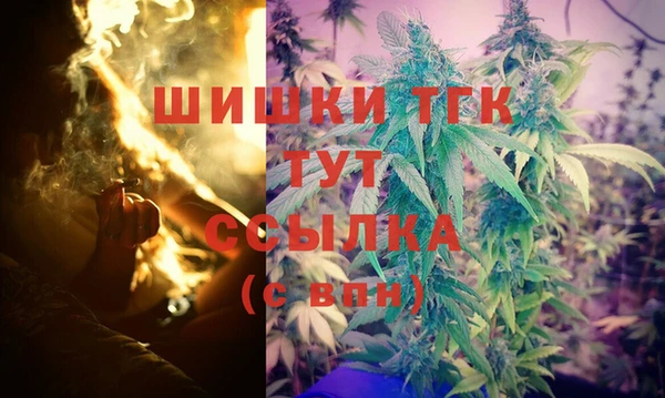 тгк Володарск